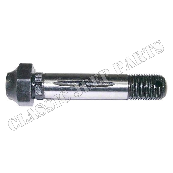 Shaft spring pivot with slotted nut and grease fitting